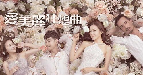 爱美丽狂想曲,一场跨越时空的奇幻之旅
